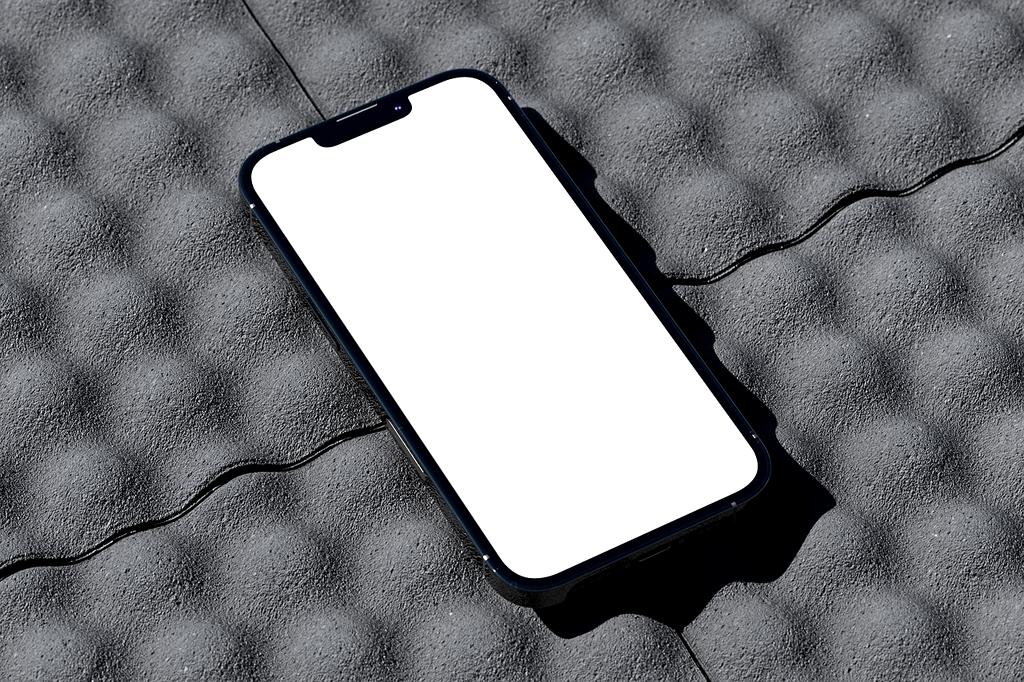 Neural identity verification scanner